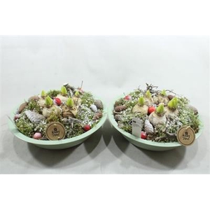 0446 Hyac Green Zink