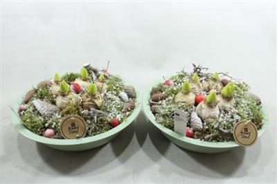 <h4>0446 Hyac Green Zink</h4>