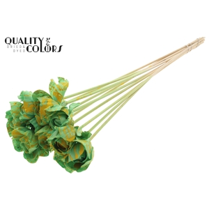 Shola Dear Holly 6cm on stem Splashed Mint/Yellow