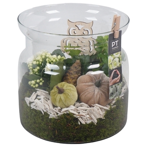 Arr.   Planten L%