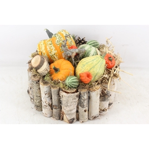 arr4 Sierfruit MB - Berk rond XL