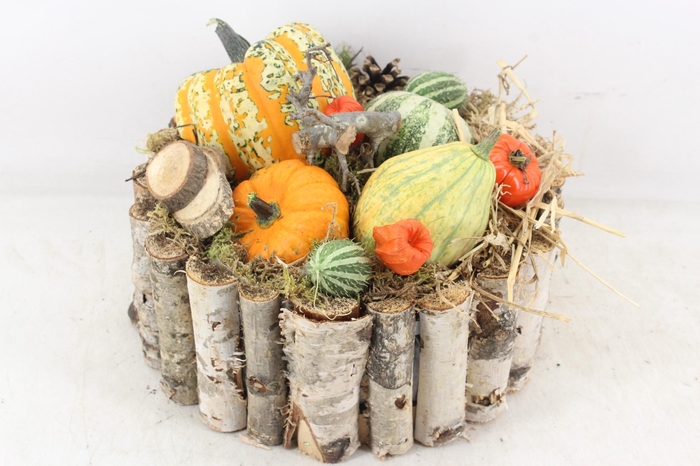 <h4>arr4 Sierfruit MB - Berk rond XL</h4>