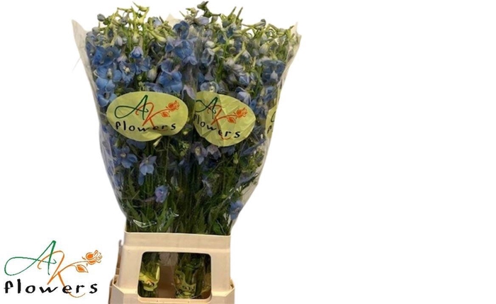 <h4>DELPH EN BALLKLEID</h4>