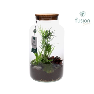 Green Bottle Pot Large met groene planten