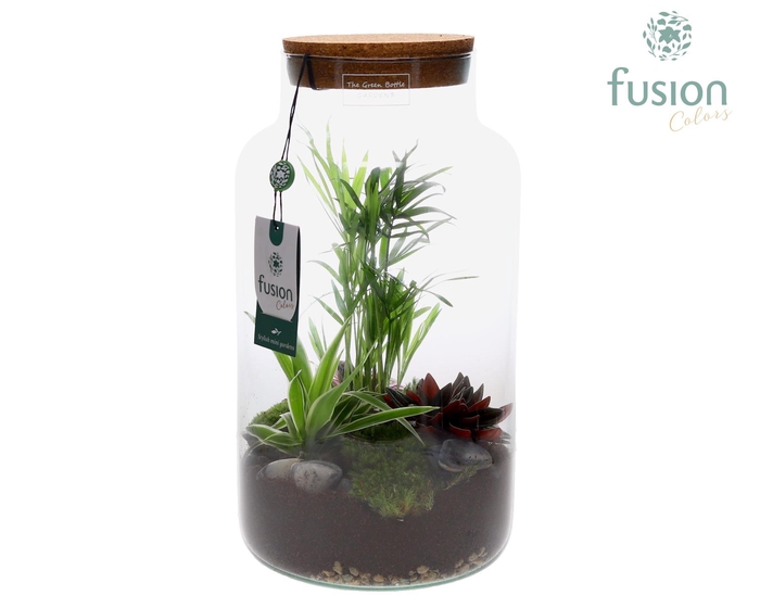 <h4>Green Bottle Pot Large met groene planten</h4>