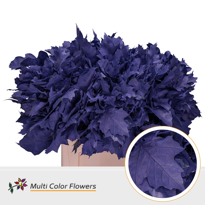 <h4>Eik Grof Violet Donker</h4>