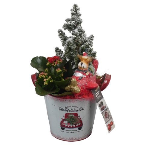 <h4>PTCHR7340 Arrangementen Kerst</h4>