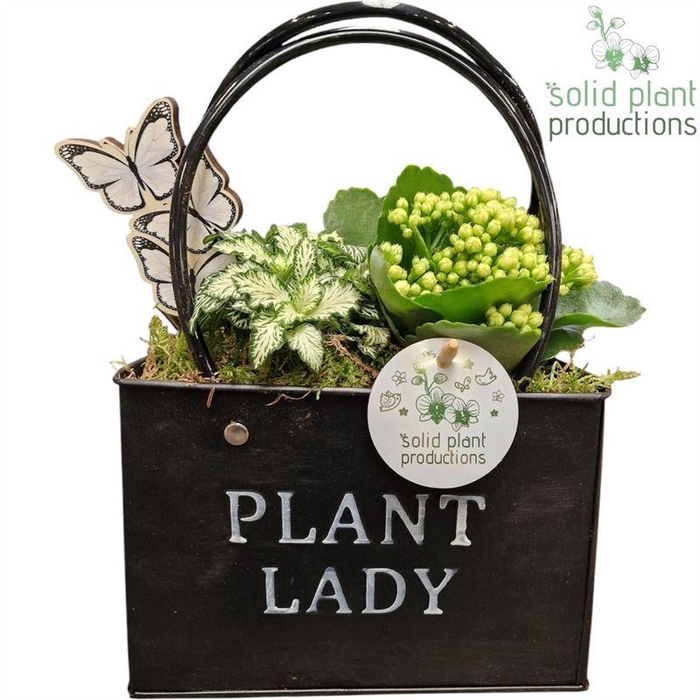 <h4>0. ZKE001 BLACK BAG</h4>