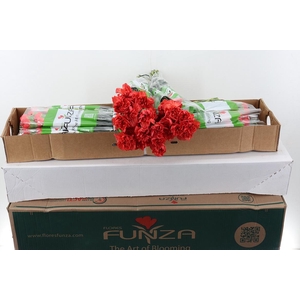 Di St Tangelo Orange Box