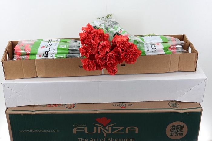 <h4>Di St Tangelo Orange Box</h4>