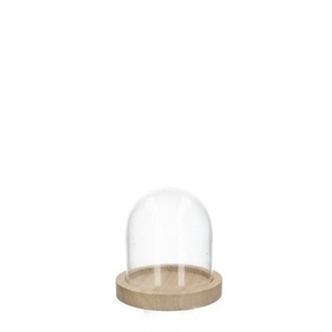 Glass Cloche+wood d09*08cm