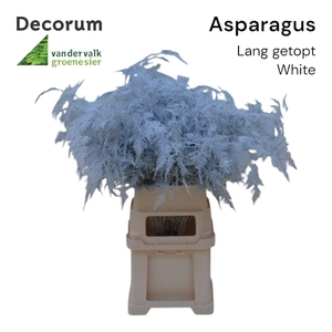 Asp lang getopt White