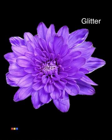 <h4>Chr T Baltica Lilac + Glit Bio</h4>