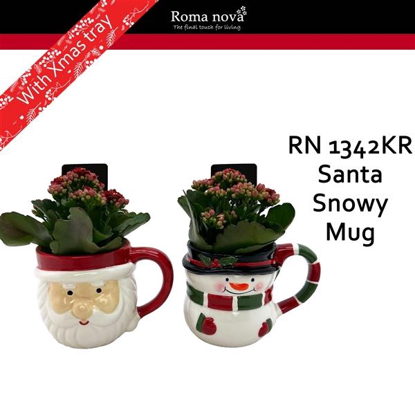 <h4>Arrangementen Kalanchoe 6%</h4>