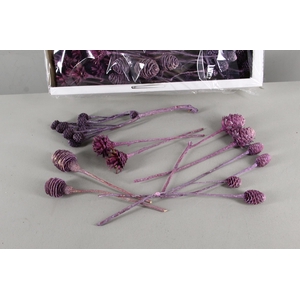 DF Leucadendron Mix Aubergine