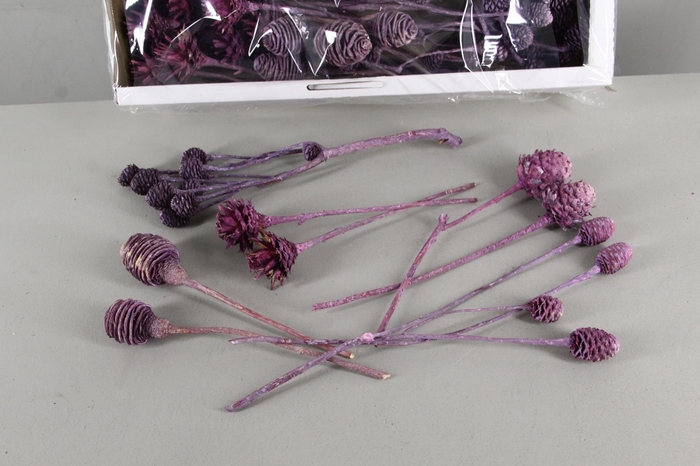 DF Leucadendron Mix Aubergine