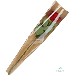 HOES 55X12X3 KRAFT FOLIE FSCMIX70% 50PCS