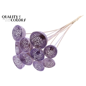 Bell Cup Jali on stem Intense Milka