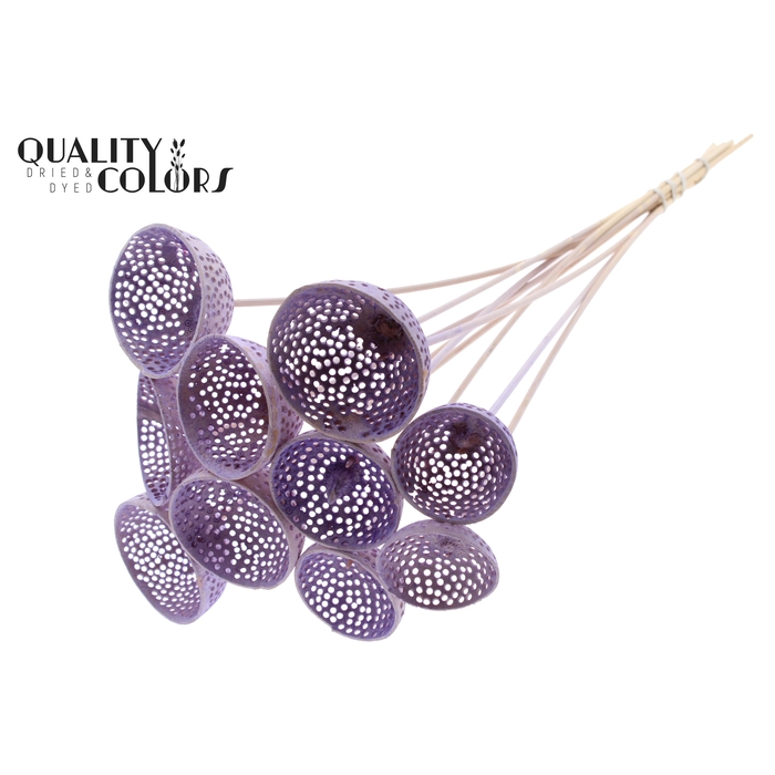 <h4>Bell Cup Jali on stem Intense Milka</h4>