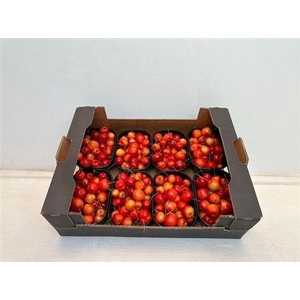 Sier Malusappel Red X8