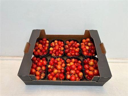 <h4>Sier Malusappel Red X8</h4>