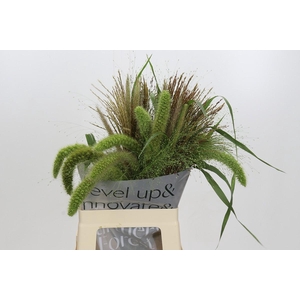 Grasses mix in bucket