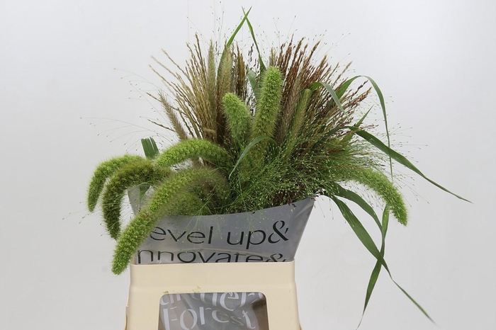 <h4>Grasses mix in bucket</h4>