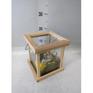 Planten ..in schaal H%