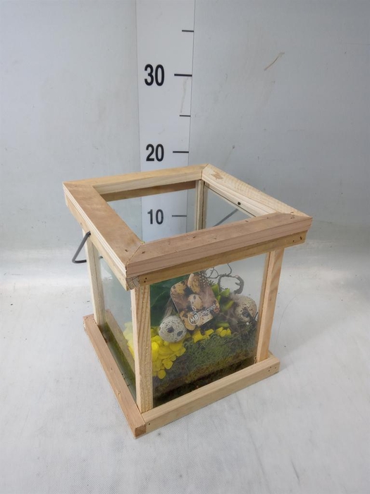 <h4>Planten ..in schaal H%</h4>