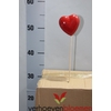 HARTJE ROOD 7 CM