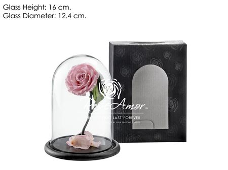 Dome Sofia Pin04 Bulk