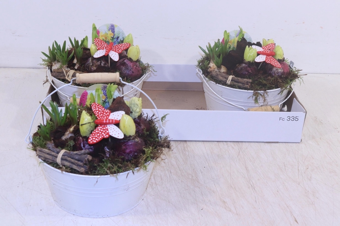 <h4>ARR BOL KNOLGEWAS</h4>