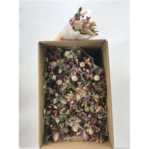 Dr Bqt Dried Light Milka