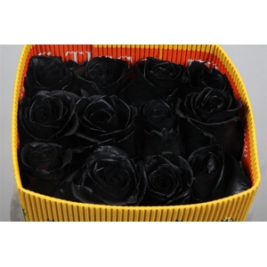 R Gr Black (painted) Ec
