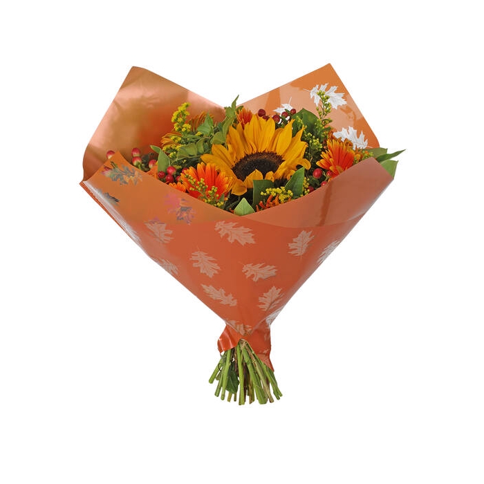 <h4>Hzn 35x35cm Oblique Mopp40 Clear Leaves Oranje</h4>