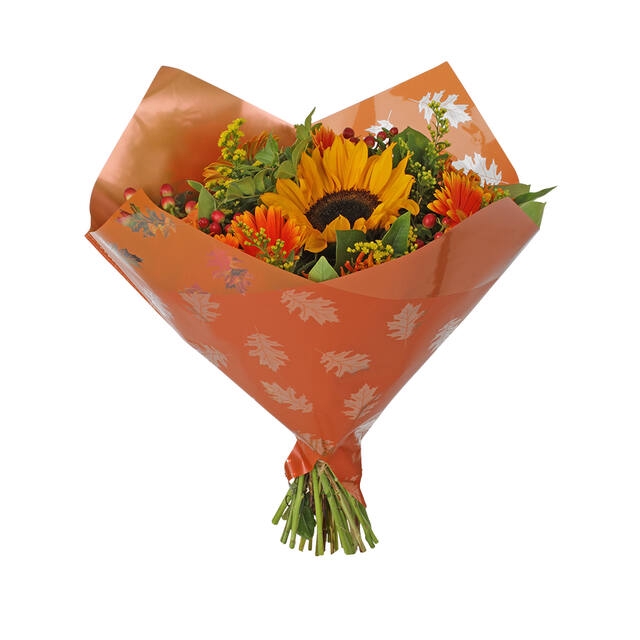 <h4>35x35cm MOPP40 Oblique Clear Leaves orange 250/box</h4>