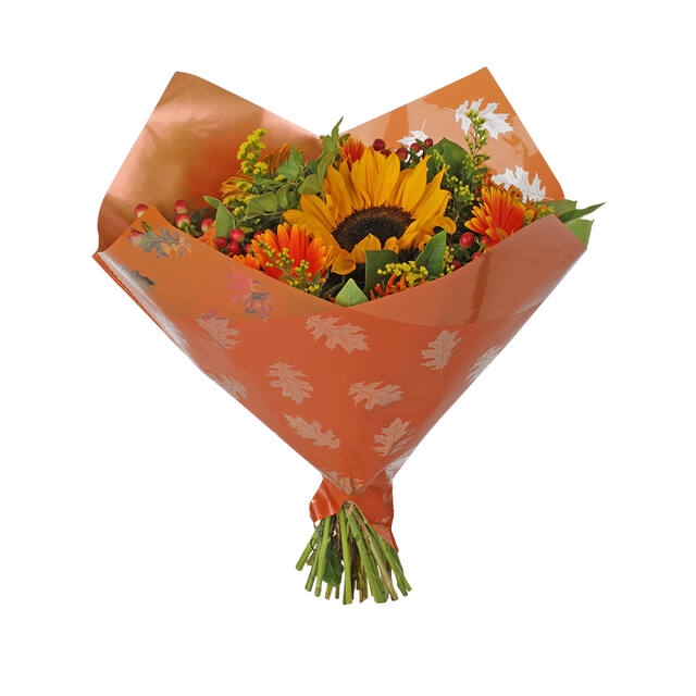 <h4>Hoes 35x35cm Oblique MOPP40 Clear Leaves oranje 250/doos</h4>