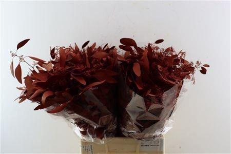 <h4>EUC PO FRU KLB BS H%</h4>