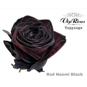 Prs GR RED NAOMI BLACK