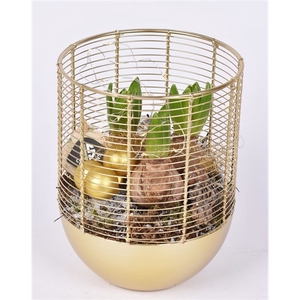 Metaal gaas planter goud 16cm