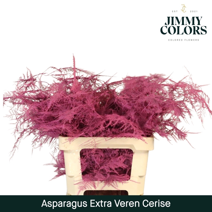 <h4>Aspa extra veren Cerise</h4>