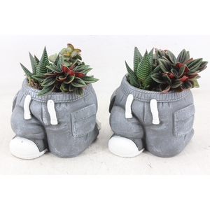 arr3 SN - Ker. spijkerbroek x5