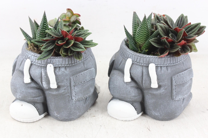 <h4>arr3 SN - Ker. spijkerbroek x5</h4>