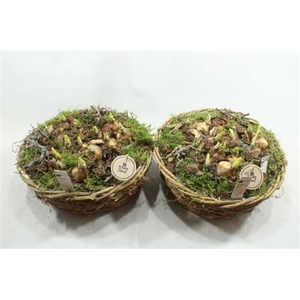 3329 MAND ROND NAT TETE