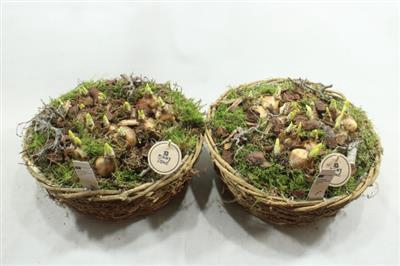 <h4>3329 MAND ROND NAT TETE</h4>