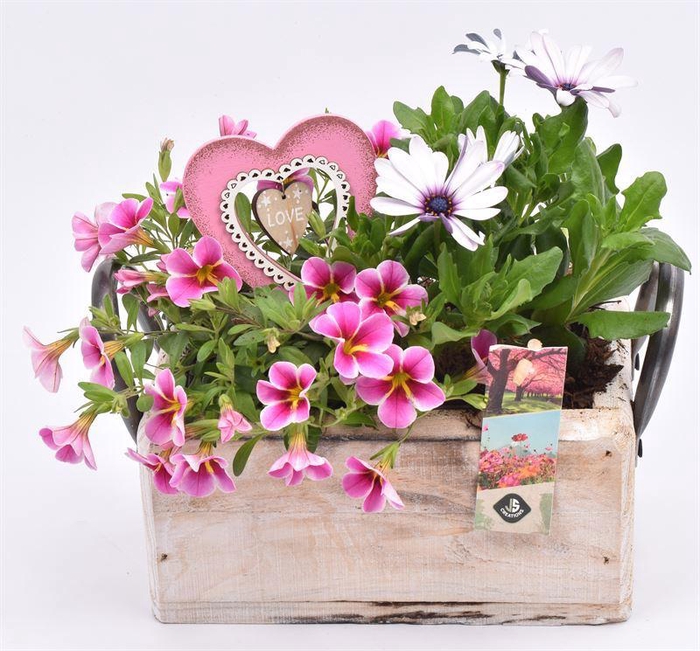 <h4>Hout rechthoek met handvat 20x13cm</h4>