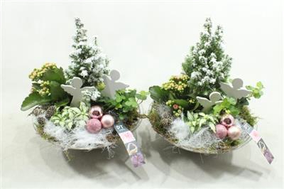 <h4>3528 ROZE GLAS 28</h4>