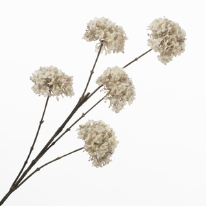 Viburnum Spray x5 Cream FL440408CRM