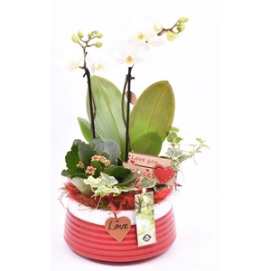 Keramiek schaal rood met label 16cm