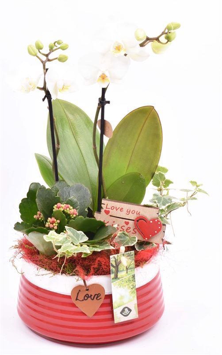 <h4>Keramiek schaal rood met label 16cm</h4>